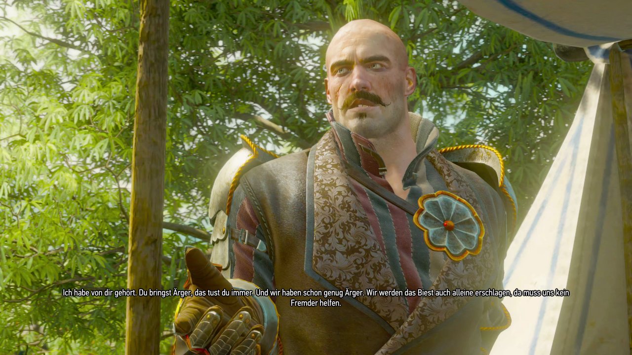 [06/05/2022] Geralt von Riva - Der Held wider Willen - Charakter-Special (13)