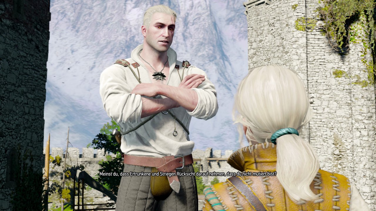 Geralt redet in the witcher 3 mit der jungen Ciri