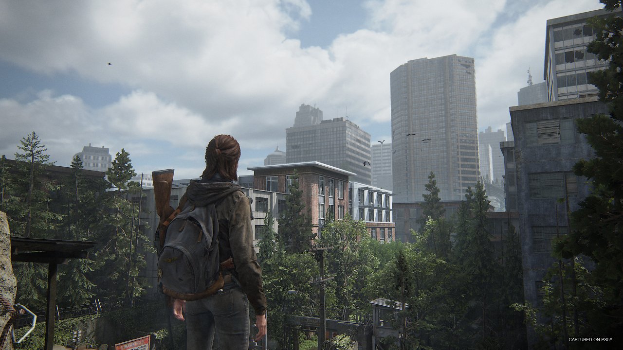 Ellie blickt auf die Skyline von Seattle vor ihr.
