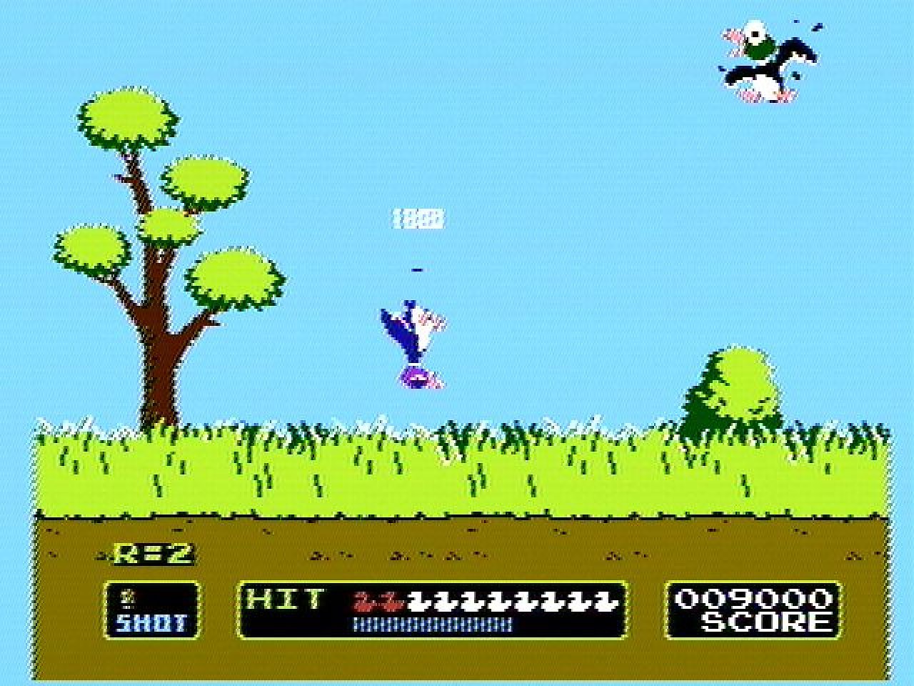 Duck Hunt