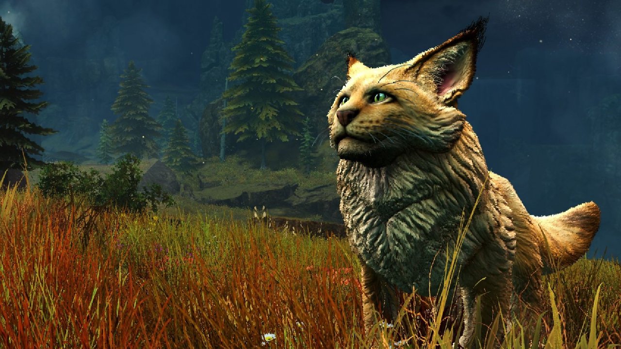 [19/07/2024] Ist Guild Wars 2 das beste MMO? Meine Reise durch Tyria (1)