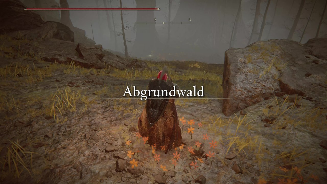 Der Spielercharakter betritt den Abgrundwald