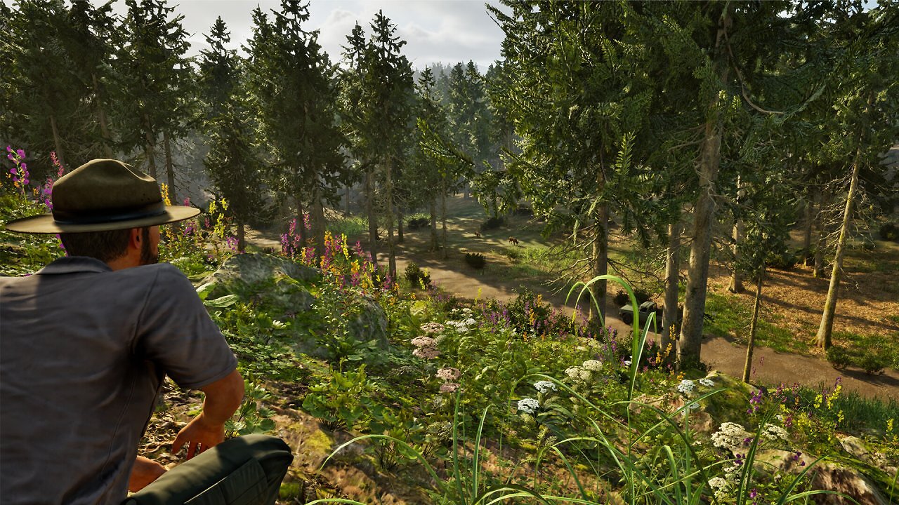 Die Hauptfigur im Park im Park Ranger Simulator