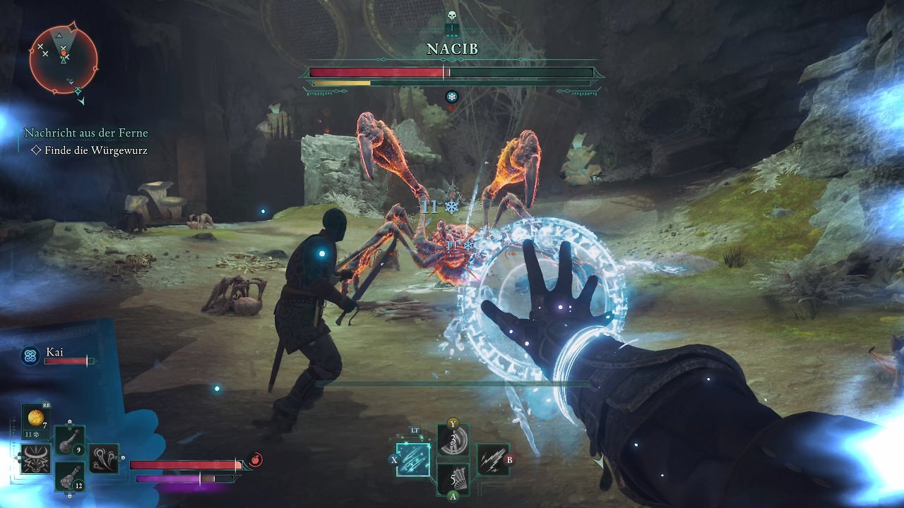 Der Spieler und ein Begleiter im Bosskampf gegen eine Spinne.