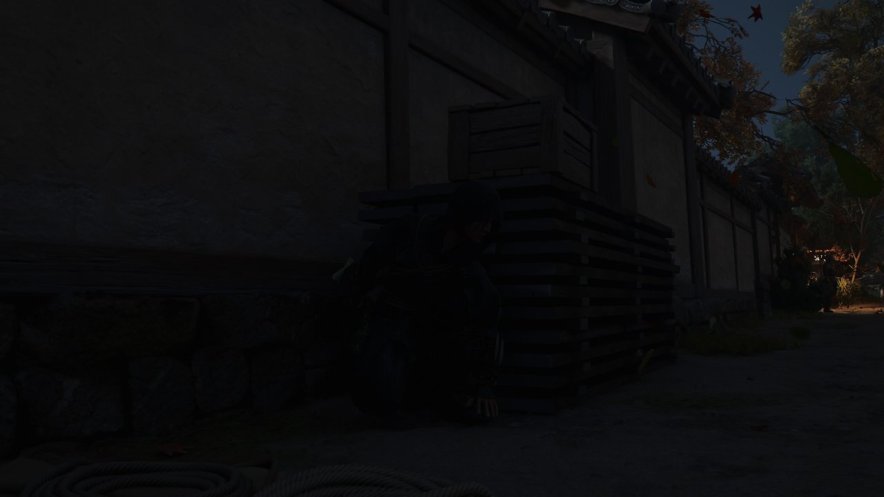 Assassin's Creed Shadows ungesehen im Schatten