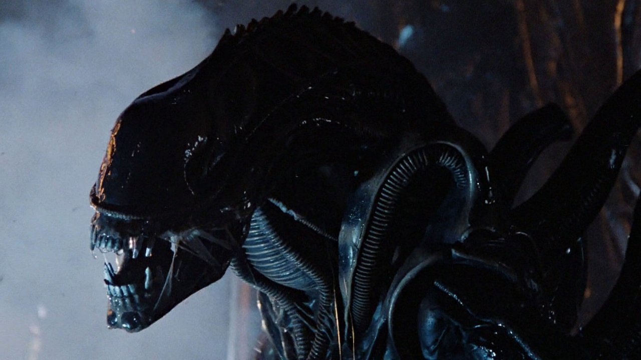 [07/05/2025] Der Xenomorph aus Alien