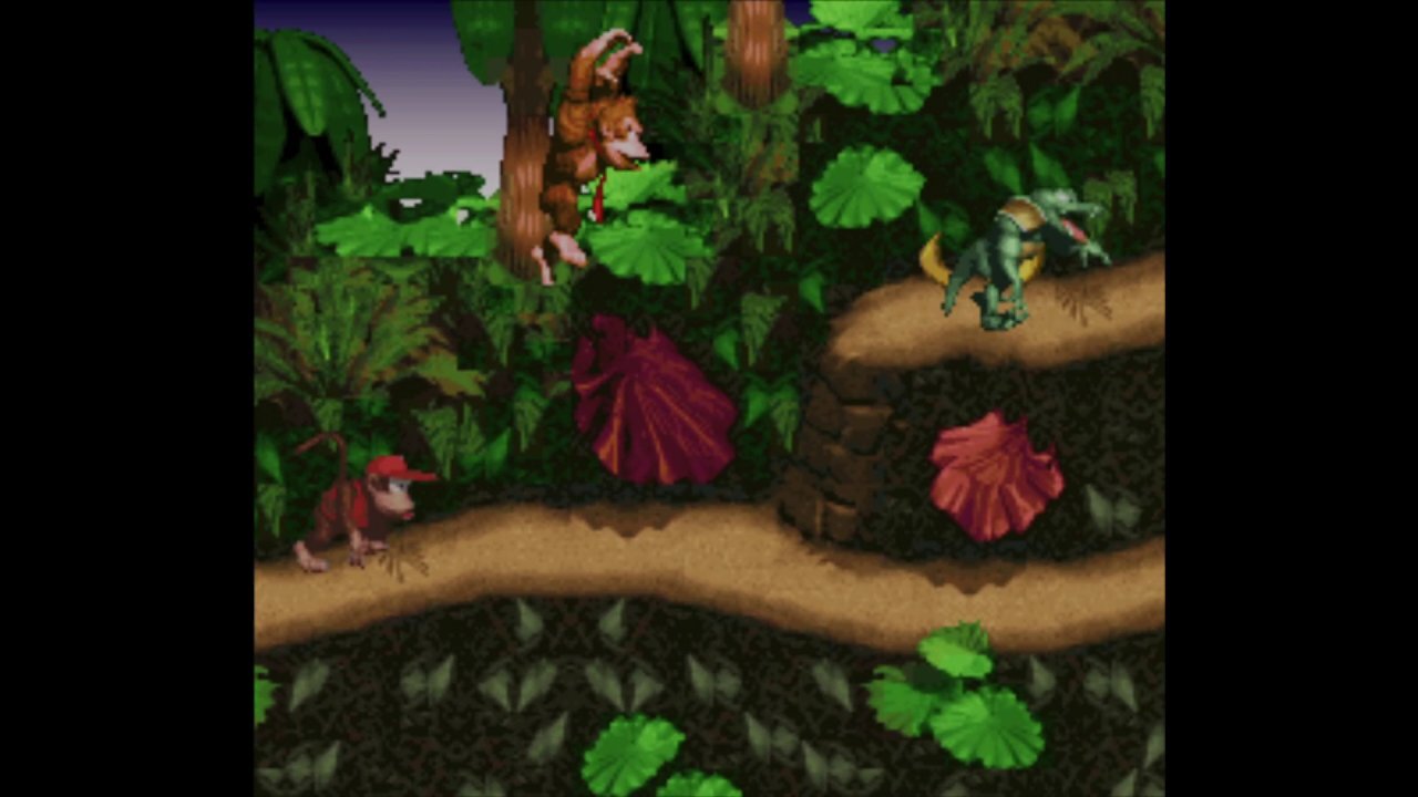 Screenshot aus Donkey Kong Country