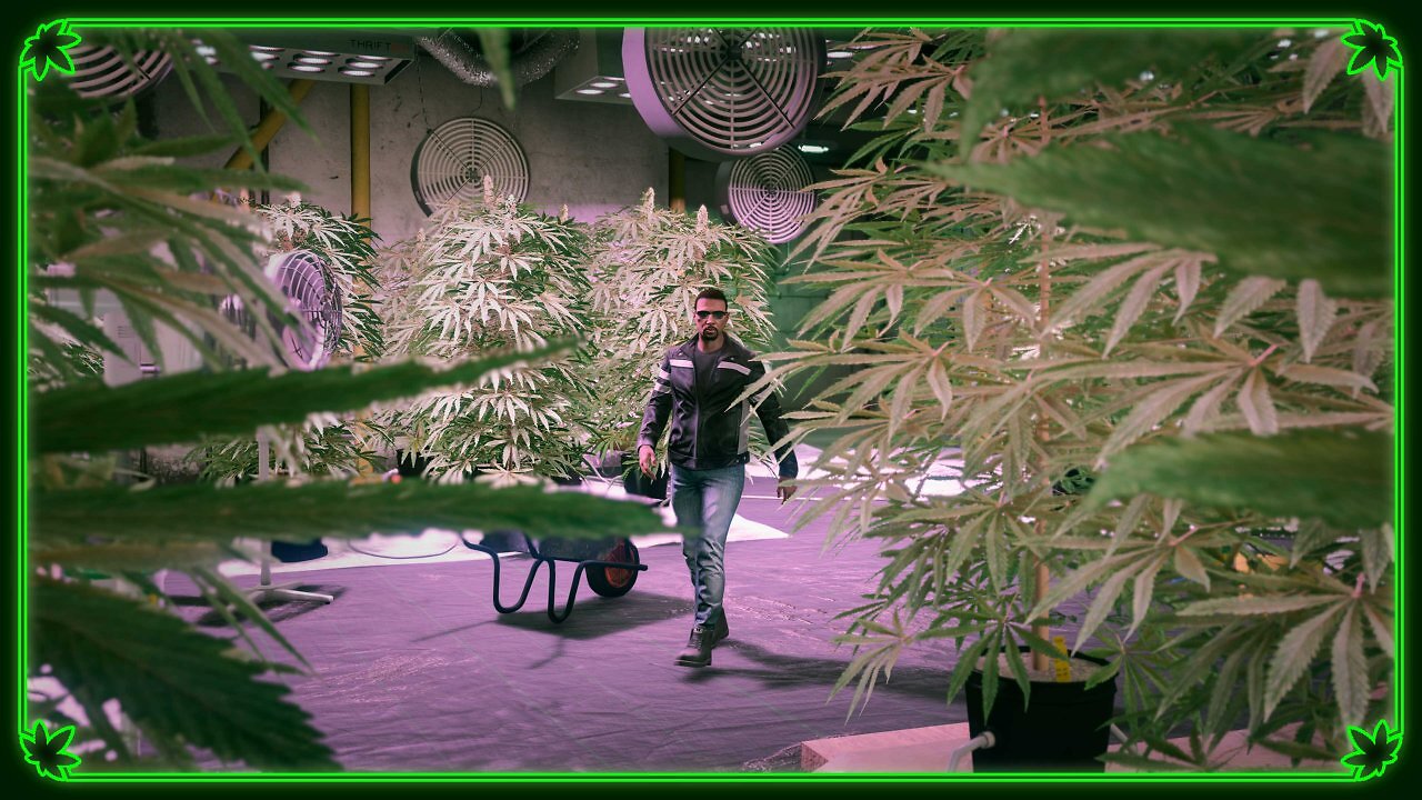 [20/04/2026] GTA 5: Rockstar startet neues 420-Event im Online-Modus&nbsp;​