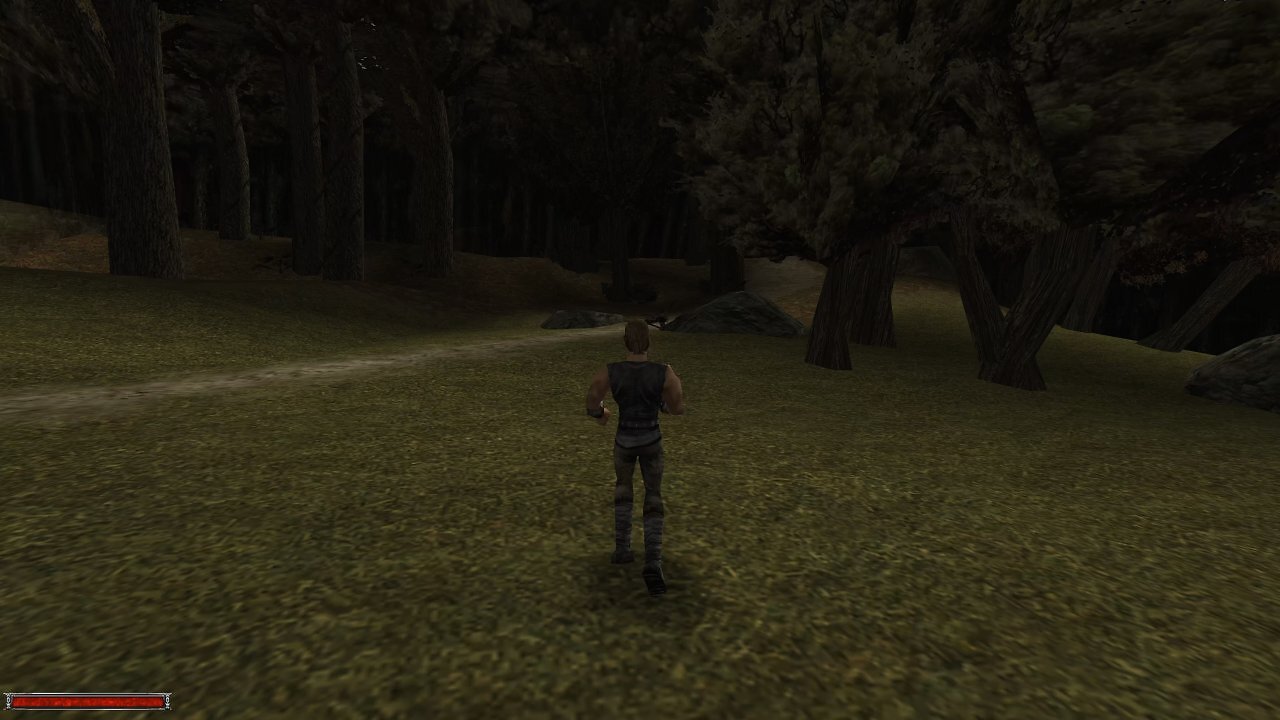 Der namenlose Held läuft durch einen Wald. Beispielbild aus dem Original.