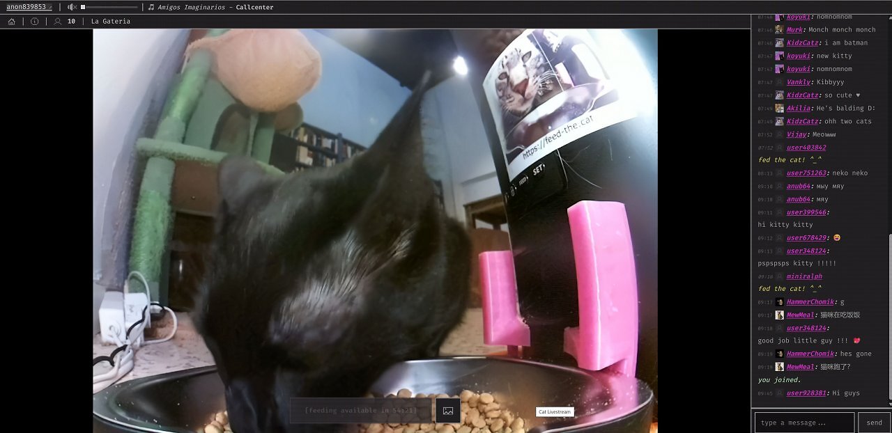 [19/05/2026] Twitch war gestern: Diese Livestream-Seite lässt euch echte Katzen weltweit füttern (3)