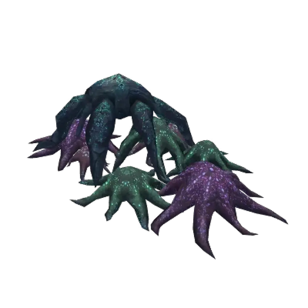 [28/07/2026] Clumped Asteroidea