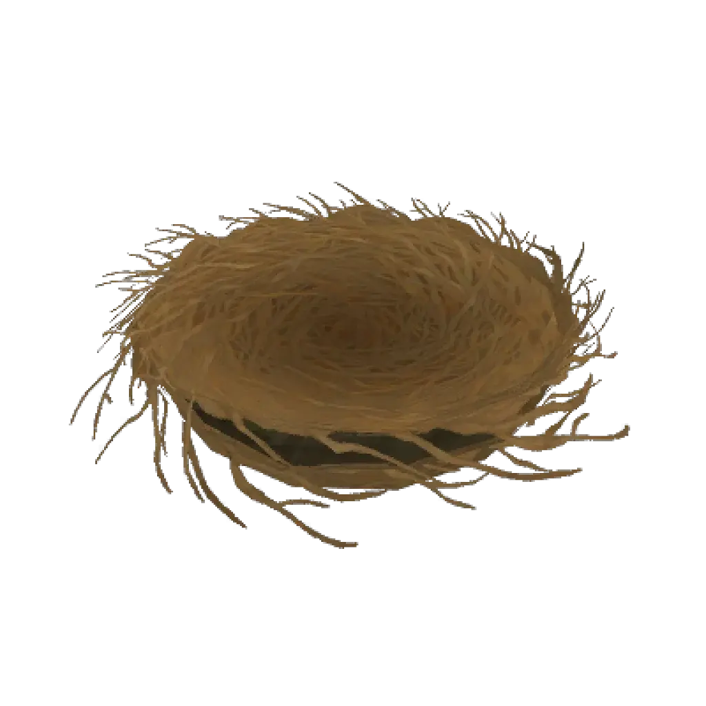 [28/07/2026] Cozy Bird Nest