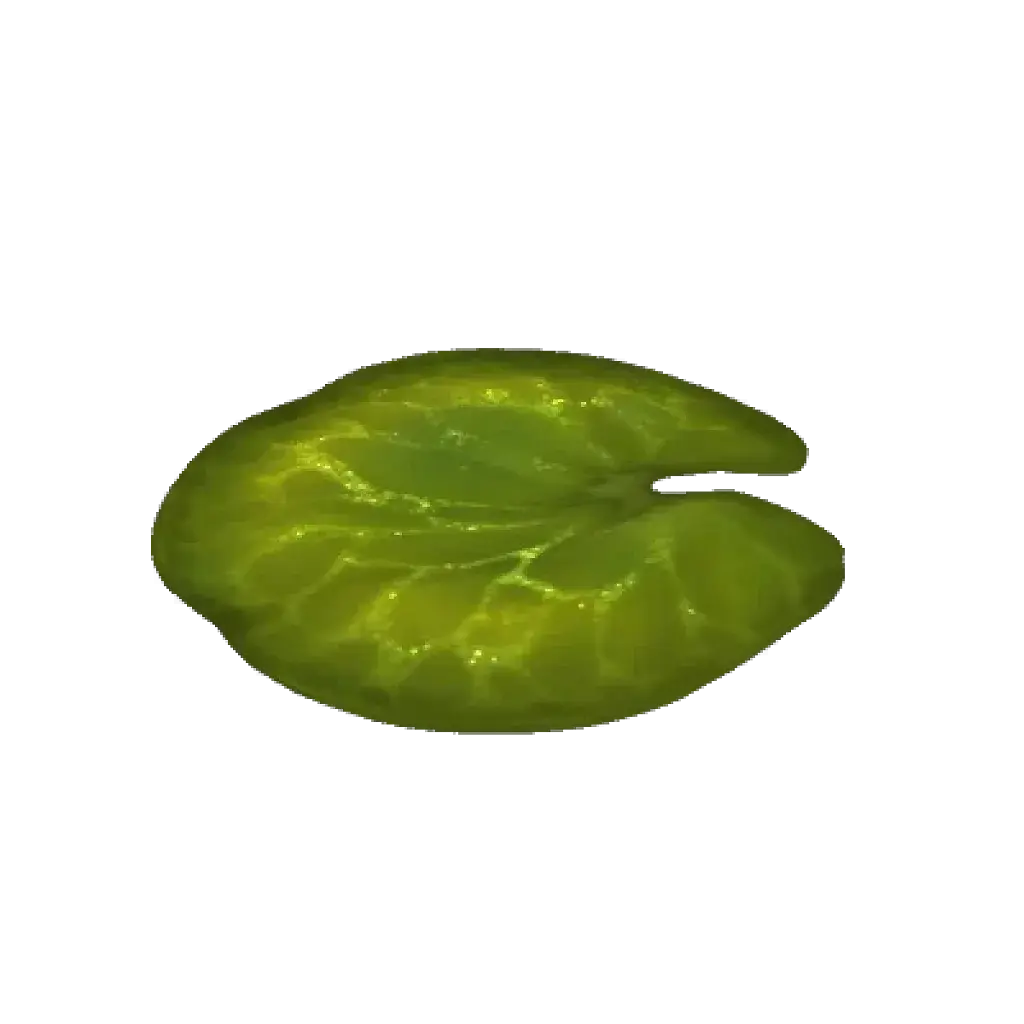 [28/07/2026] Cozy Lightbloom Lilypad