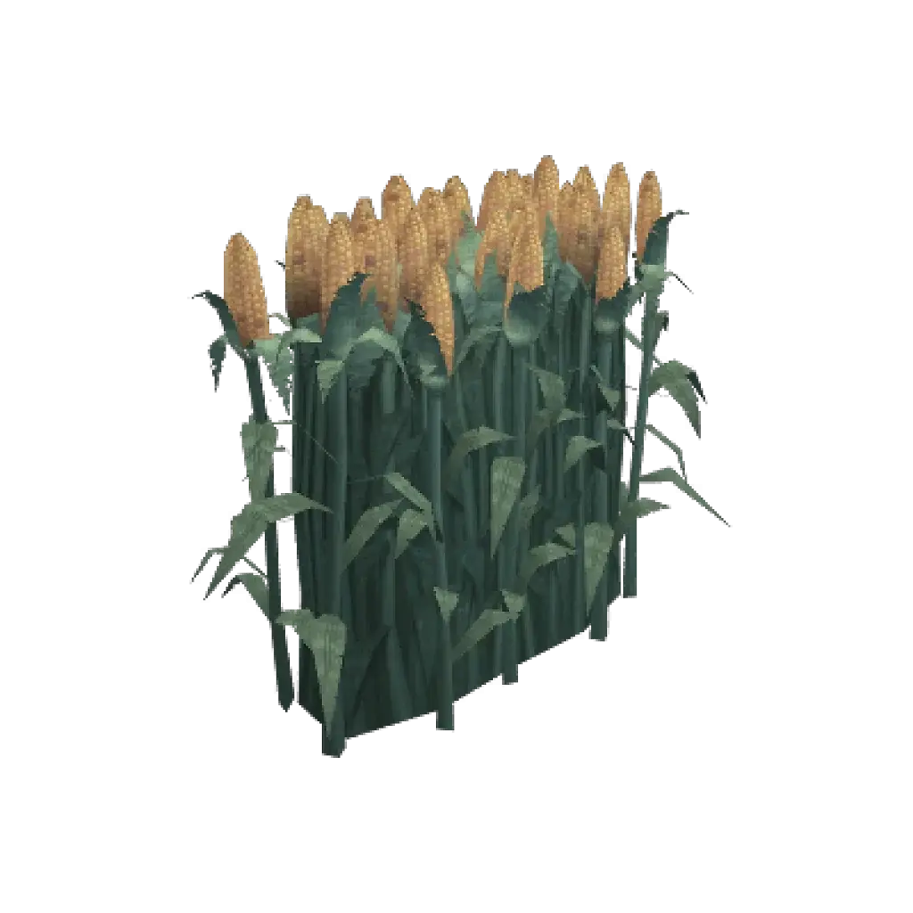 [28/07/2026] Molsen Farm Corn Row