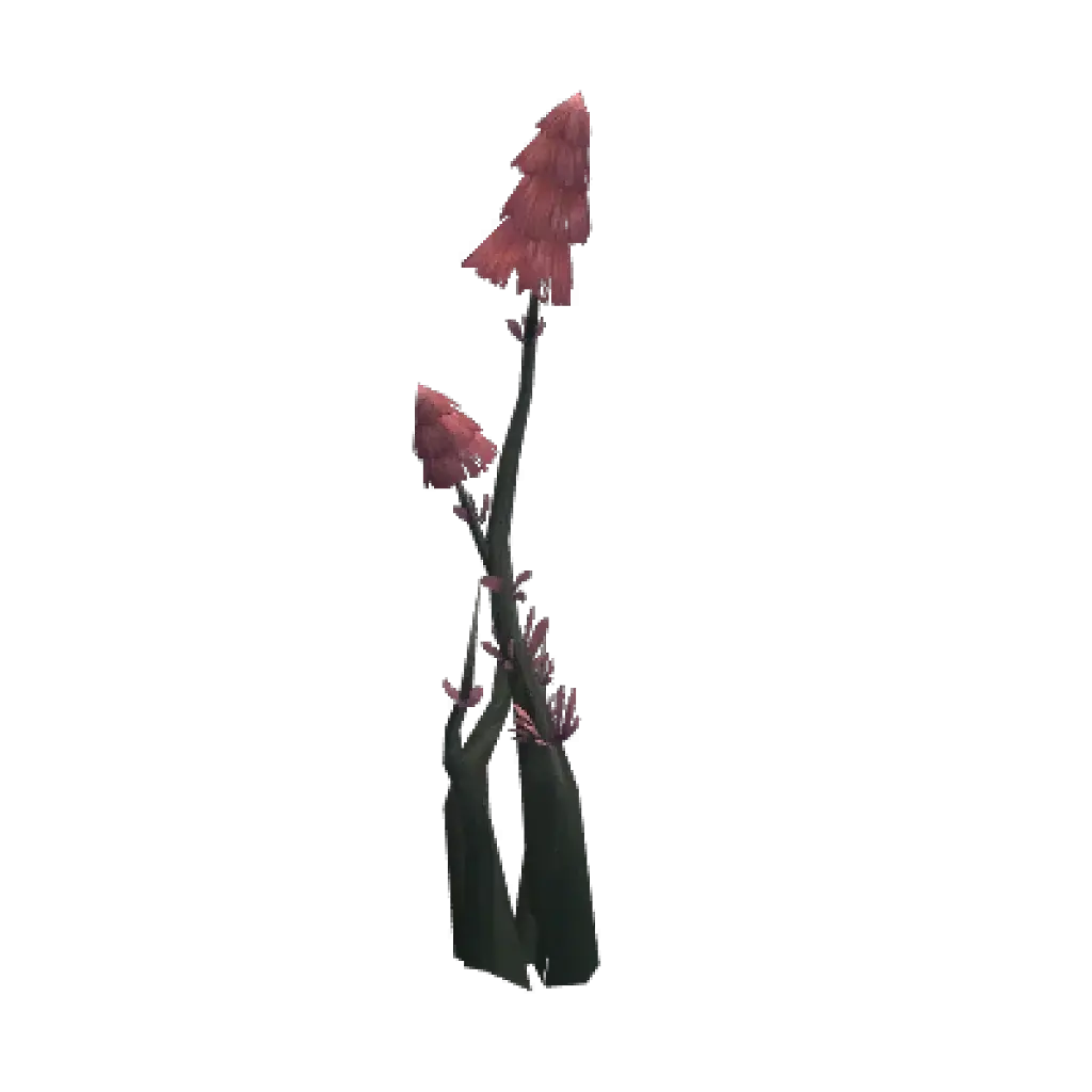 [28/07/2026] Pungent Atal Utek Shroom