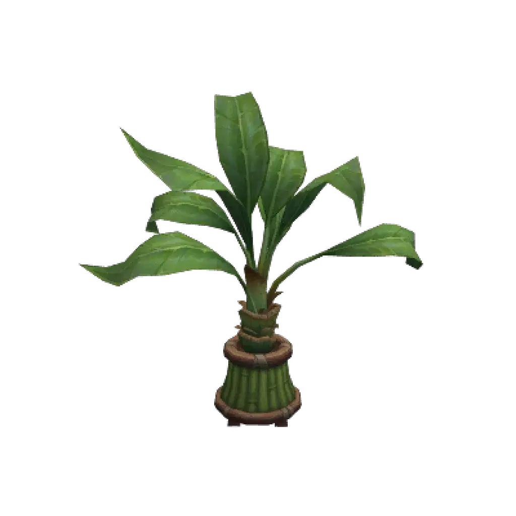 [28/07/2026] Seaside Tiki Frondtree