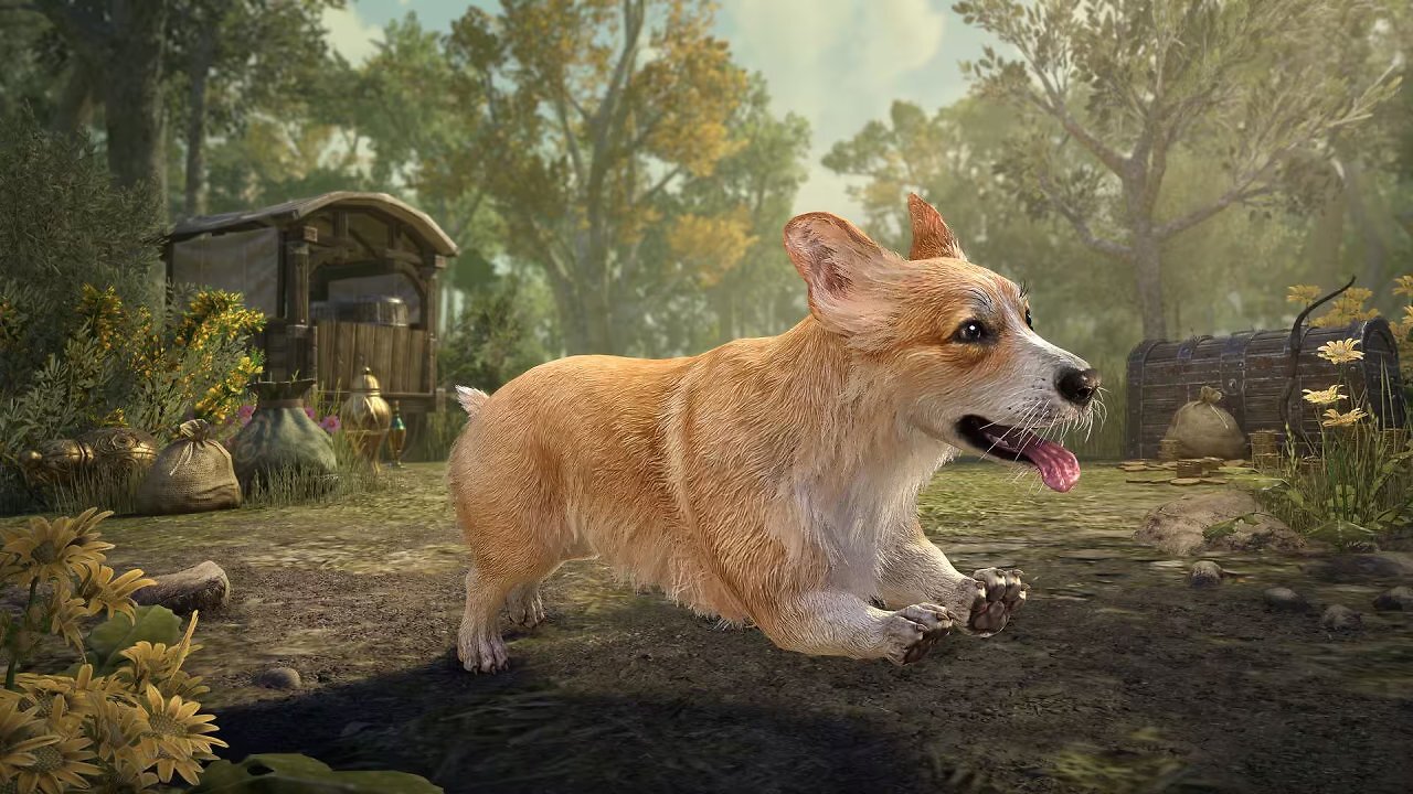 [03/07/2026] Morgenlicht-goldener Corgi als Begleiter.