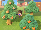 Animal Crossing: New Horizons - Rüben zum besten Preis verkaufen - Tipps zum Rübenhandel