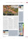 Artikel Vorschau Bild