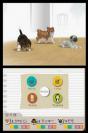 Nintendogs - Chihuahua & Friends