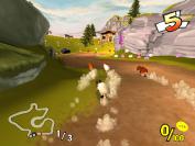 Championsheep Rally
