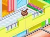 CATZ