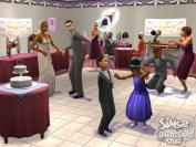 Die Sims 2: Party-Accessoires