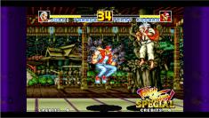 Fatal Fury Special im Gamezone-Test