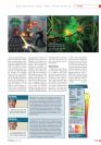 Star Trek Voyager: Elite Force 2 im Gamezone-Test