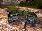 Die Geheimnisse der Spiderwicks