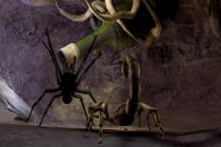 Deadly Creatures im Gamezone-Test