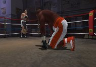 Don King Boxing