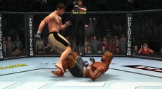 UFC Undisputed 2009