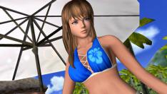 Dead or Alive: Paradise