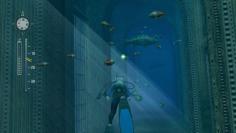 Endless Ocean 2: Der Ruf des Meeres