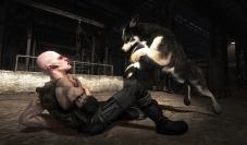 Dead to Rights: Retribution im Gamezone-Test