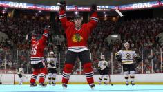 NHL 14 (2)