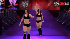 WWE 2K14 im Test (2)