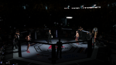 UFC 3 im Test: ​Tolle MMA-Simulation mit nervigen Mängeln