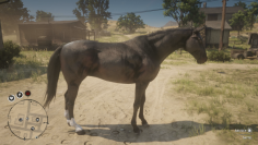 Red Dead Redemption 2: Alles rund um Pferde - Rassen, Klassen, Werte und Pflege im ultimativen Guide