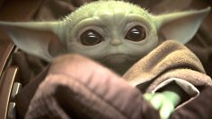 Baby Yoda blickt mit Welpen-Blick in die Kamera.