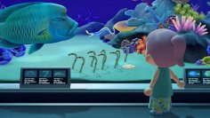 Animal Crossing: New Horizons: Fangt alle Fische, Meerestiere und Insekten - der Guide-Sammelartikel für alle Monate (1)