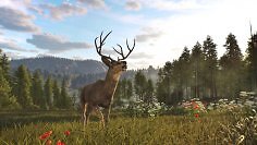 Way of the Hunter 2: Erstes großes Inhaltsupdate für den Early Access erschienen