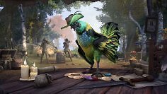 TESO: Saison Eins bringt neuen Tamrielfolianten mit Mount und süßem Corgi (1)