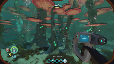 Der Mushroom Forest ist ziemlich cool und wirklich schön anzusehen.