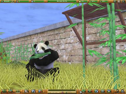 Pandas mögen Eukalyptus