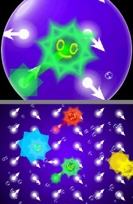 Electroplankton
