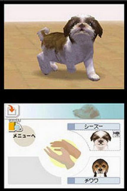 Nintendogs - Dachshund & Friends