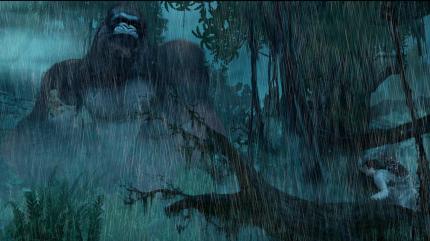 Kong im Regen