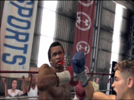 Fight Night Round 3
